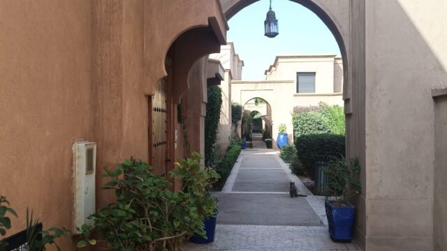 WhatsApp-Image-2026-02-20-at-13.46.48-2