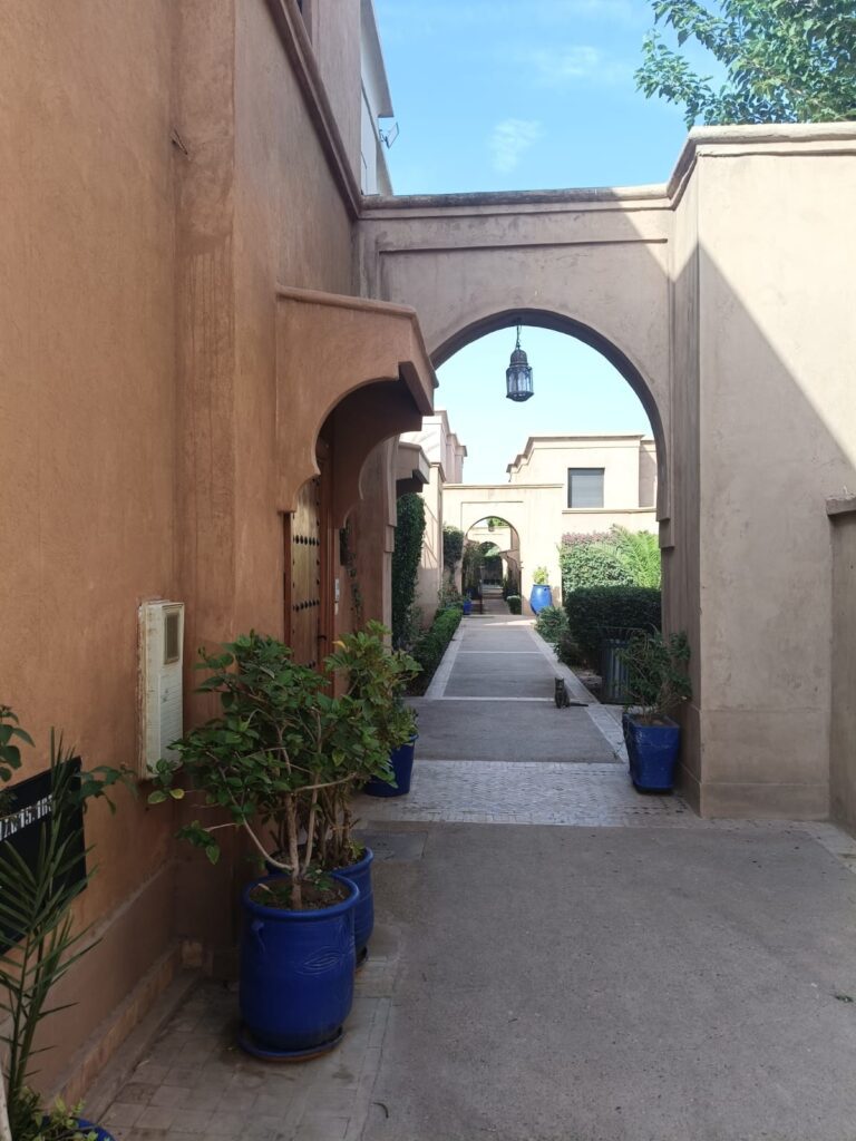 WhatsApp-Image-2026-02-20-at-13.46.48-2