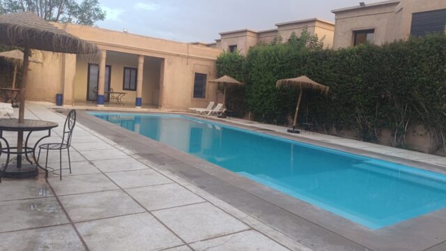 WhatsApp-Image-2026-02-20-at-13.46.48