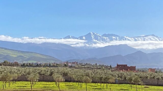 WhatsApp-Image-2026-02-23-at-11.13.40-2