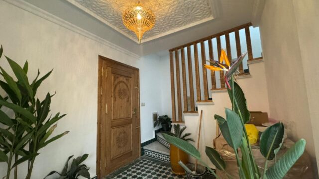 WhatsApp-Image-2026-02-23-at-11.26.58