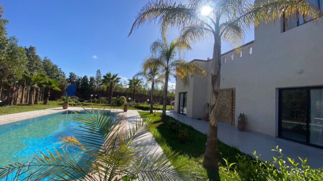 WhatsApp-Image-2026-02-23-at-12.19.47