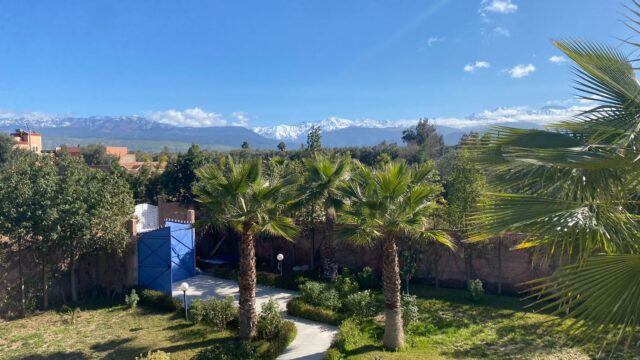 WhatsApp-Image-2026-02-23-at-12.19.53