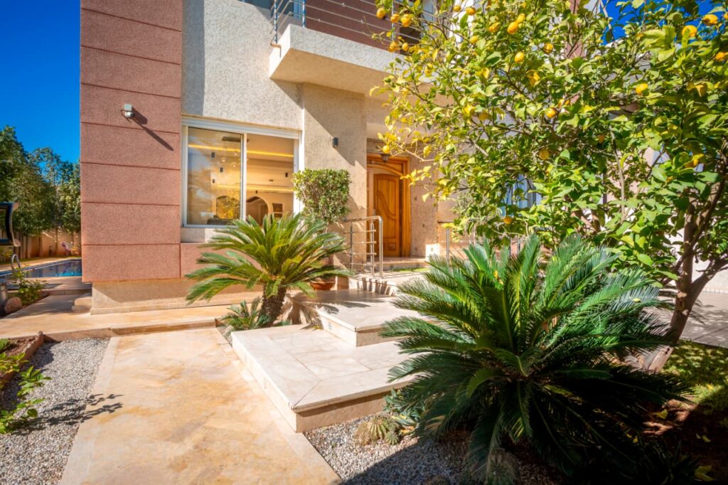 WhatsApp-Image-2026-02-24-at-10.00.23-2