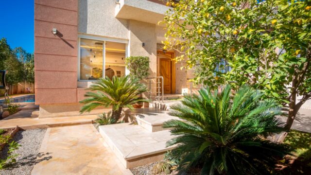 WhatsApp-Image-2026-02-24-at-10.00.23-2