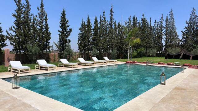 WhatsApp-Image-2026-02-24-at-10.03.05-1