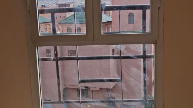 WhatsApp-Image-2026-02-24-at-15.26.48-1