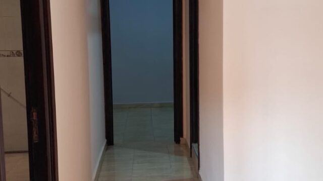 WhatsApp-Image-2026-02-24-at-15.26.50