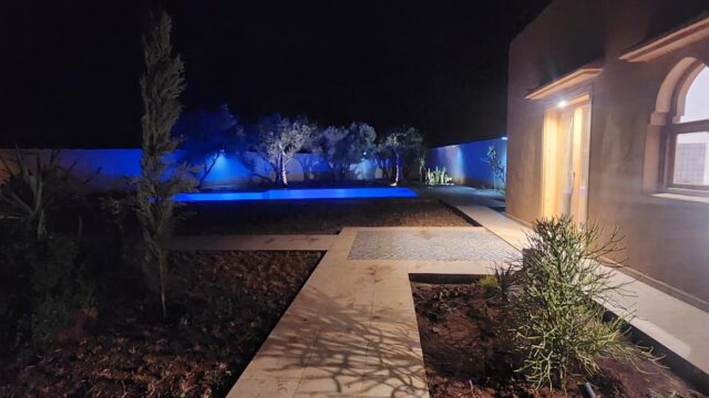 WhatsApp-Image-2026-02-25-at-19.33.26-1