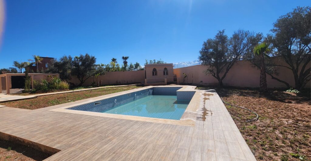 WhatsApp-Image-2026-02-25-at-19.33.26