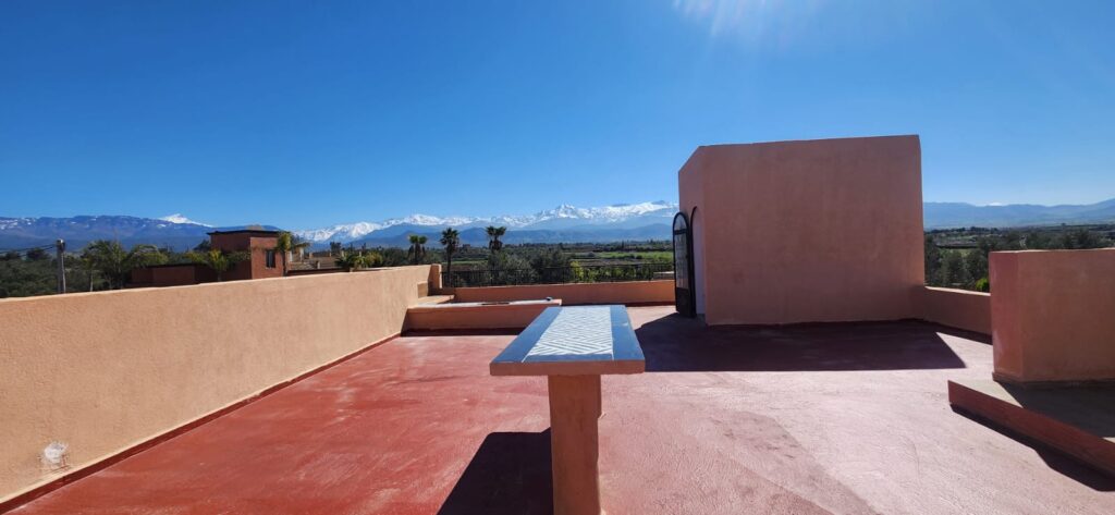 WhatsApp-Image-2026-02-25-at-19.33.26-2