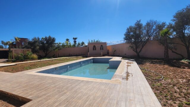 WhatsApp-Image-2026-02-25-at-19.33.26