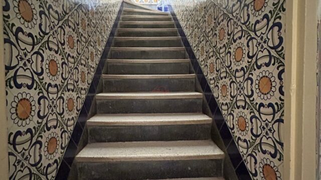 WhatsApp-Image-2026-02-26-at-10.21.02-1