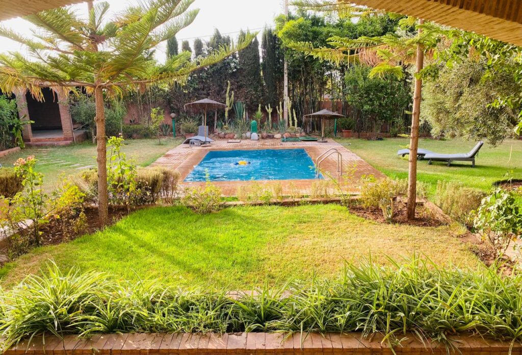 WhatsApp-Image-2026-02-26-at-12.07.16-2