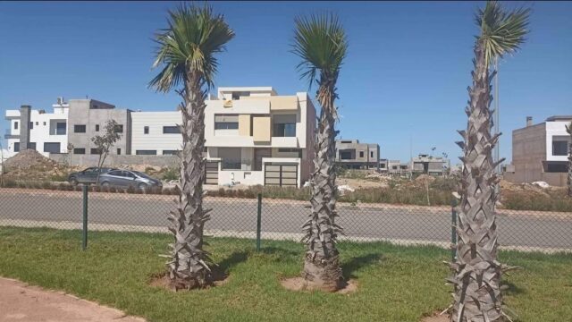 Screenshot_20260305_100439_Facebook