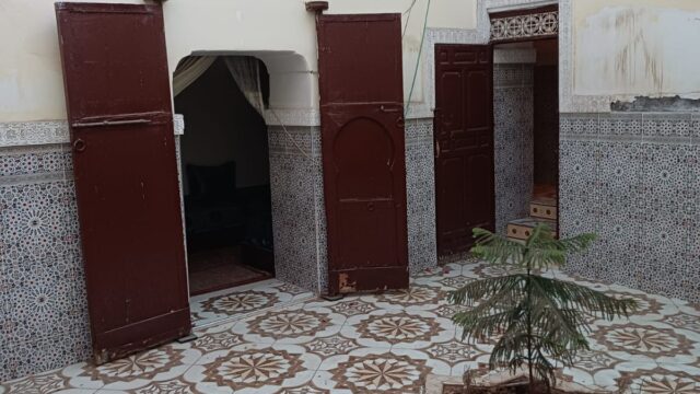 WhatsApp-Image-2026-02-27-at-12.28.41