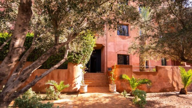 WhatsApp-Image-2026-02-27-at-15.17.18-3