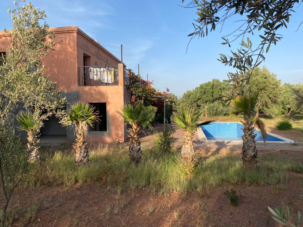 WhatsApp-Image-2026-03-03-at-11.40.37