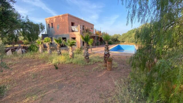 WhatsApp-Image-2026-03-03-at-11.40.38