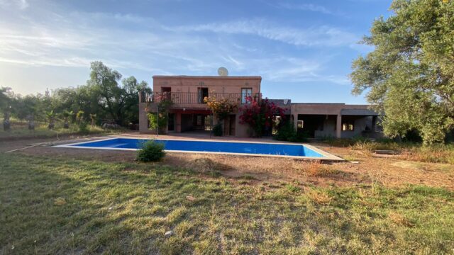 WhatsApp-Image-2026-03-03-at-11.41.25-1