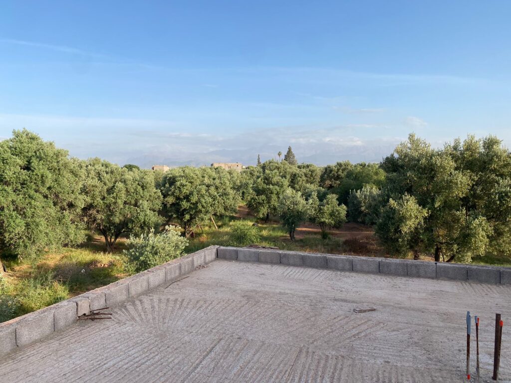 WhatsApp-Image-2026-03-03-at-11.41.25