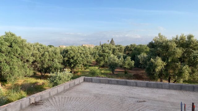 WhatsApp-Image-2026-03-03-at-11.41.25