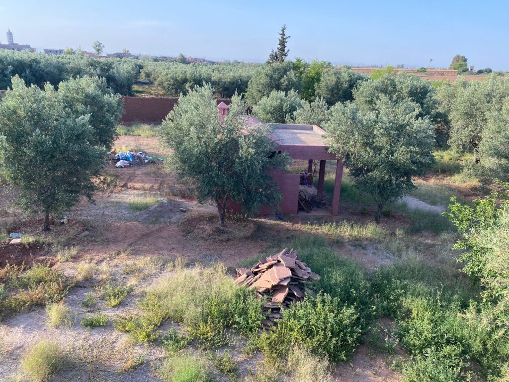 WhatsApp-Image-2026-03-03-at-11.41.26