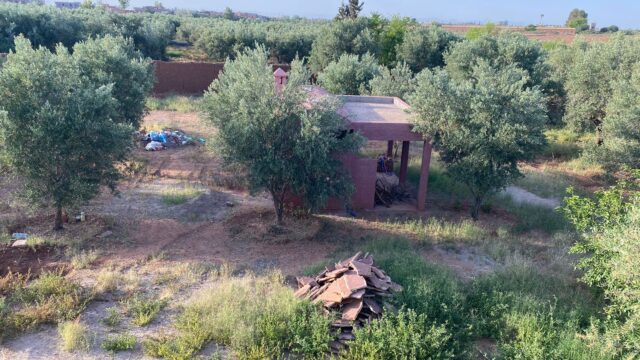 WhatsApp-Image-2026-03-03-at-11.41.26