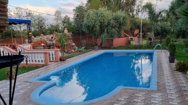 WhatsApp-Image-2026-03-03-at-16.02.56