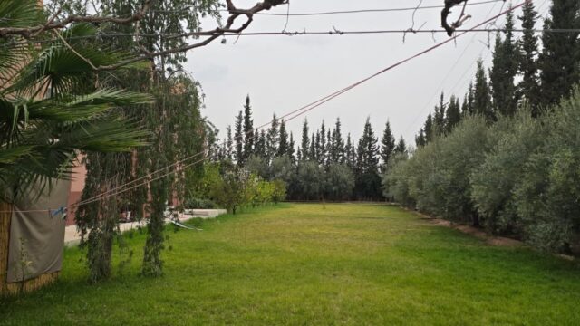 WhatsApp-Image-2026-03-04-at-11.46.55-2