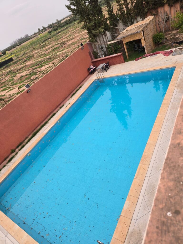 WhatsApp-Image-2026-03-04-at-11.46.55