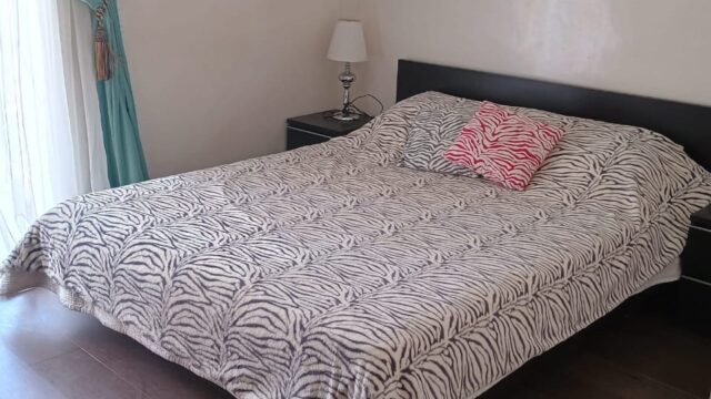 WhatsApp-Image-2026-03-04-at-15.41.51-1