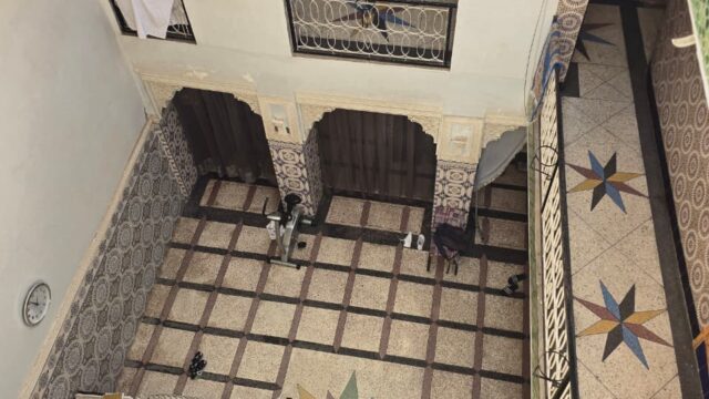 WhatsApp-Image-2026-03-05-at-14.11.45