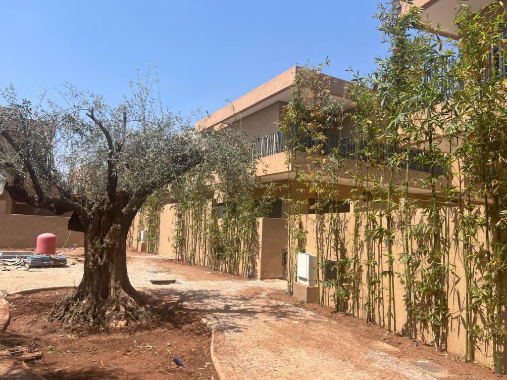 WhatsApp-Image-2026-03-06-at-13.11.10