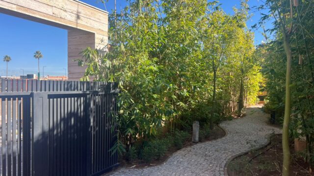 WhatsApp-Image-2026-03-06-at-13.11.13