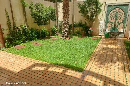 WhatsApp-Image-2026-03-06-at-14.35.03-2