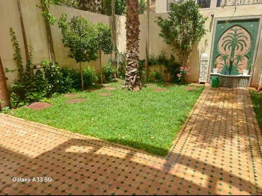 WhatsApp-Image-2026-03-06-at-14.35.03-2