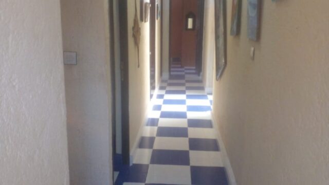 WhatsApp-Image-2026-03-10-at-12.22.37-1