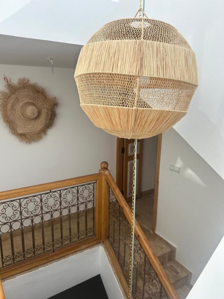 WhatsApp-Image-2026-03-11-at-14.04.08-2