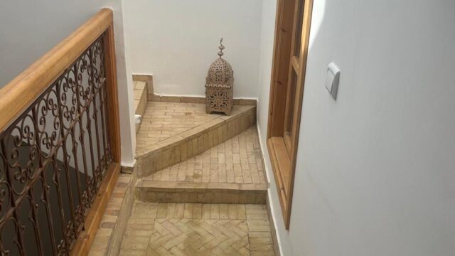 WhatsApp-Image-2026-03-11-at-14.04.09-1