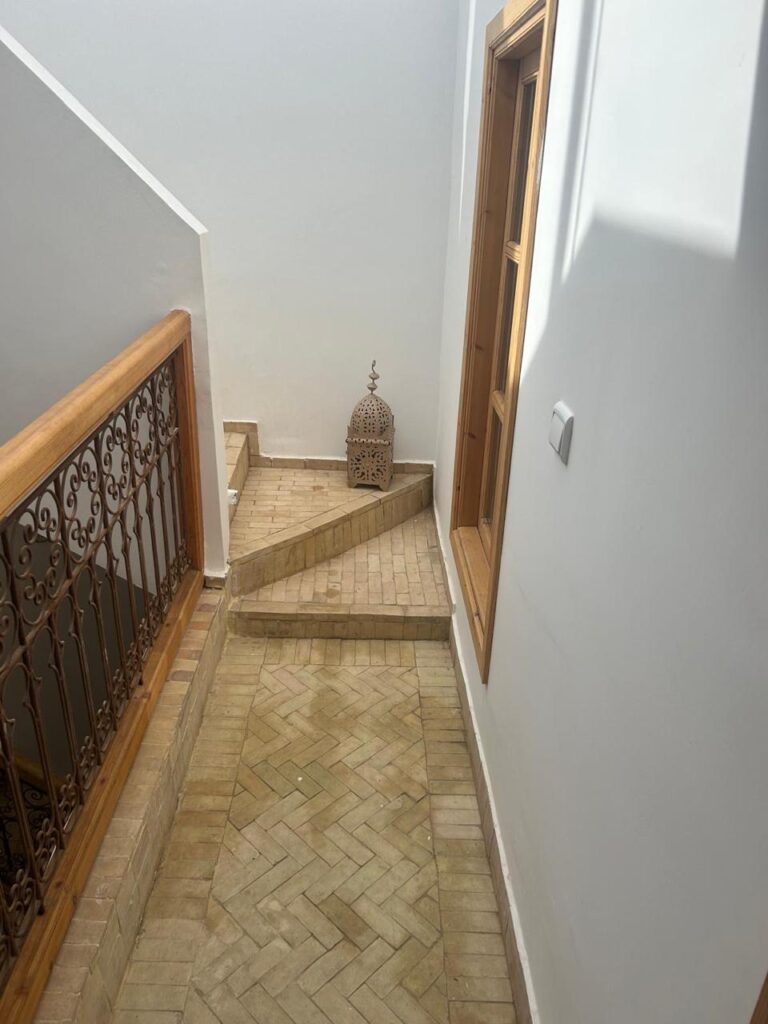 WhatsApp-Image-2026-03-11-at-14.04.09-1