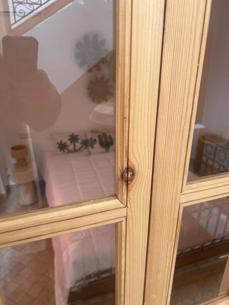 WhatsApp-Image-2026-03-11-at-14.04.10-2