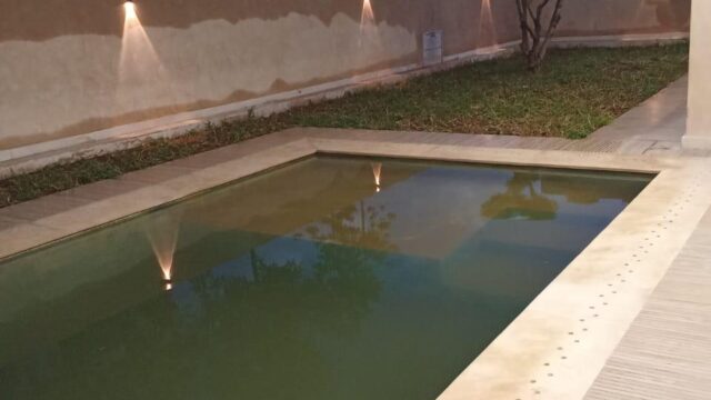 WhatsApp-Image-2026-03-12-at-14.44.41-1-1