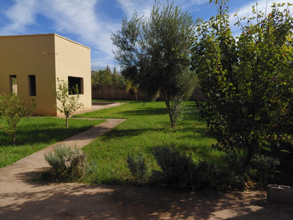 WhatsApp-Image-2026-03-12-at-22.37.30