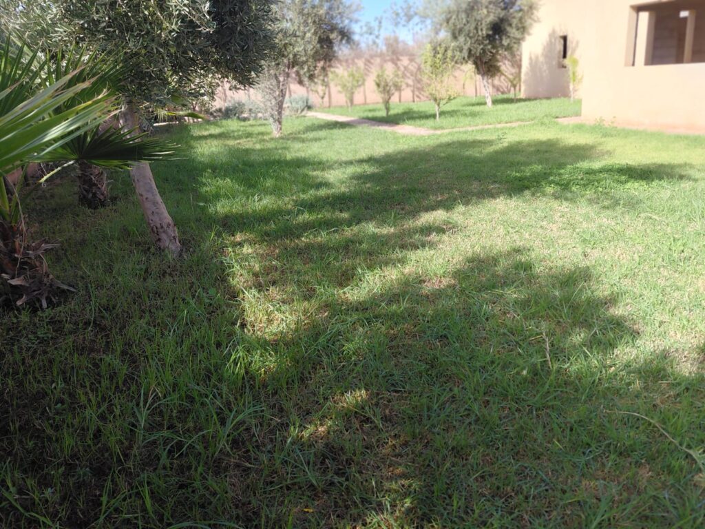 WhatsApp-Image-2026-03-12-at-22.37.30-2