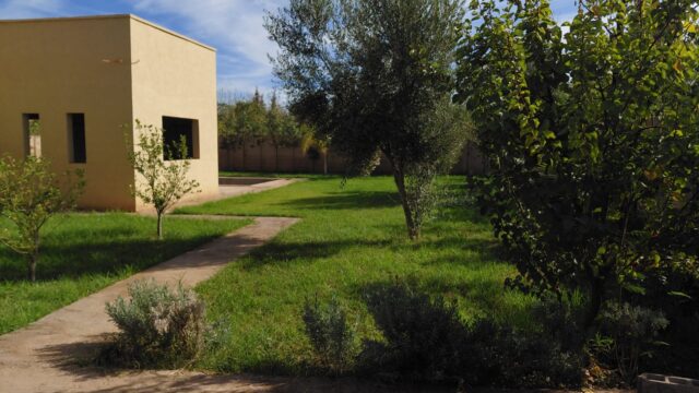 WhatsApp-Image-2026-03-12-at-22.37.30