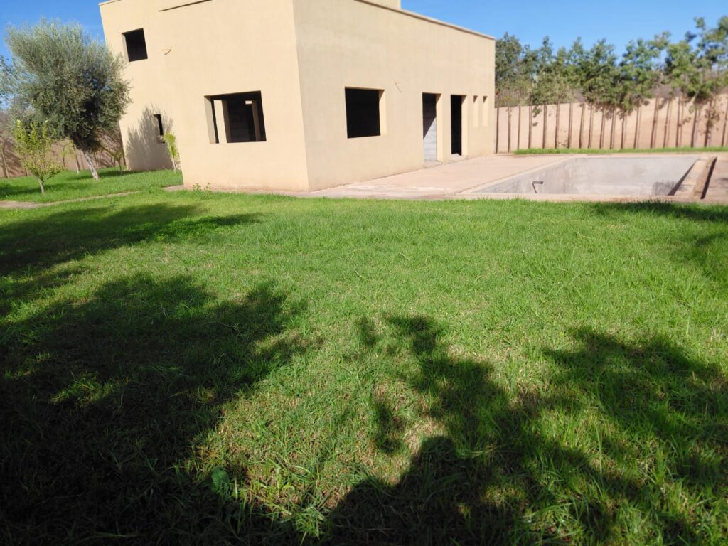 WhatsApp-Image-2026-03-12-at-22.37.31