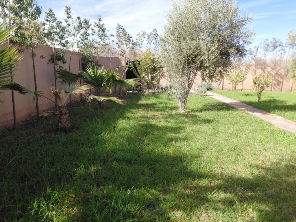 WhatsApp-Image-2026-03-12-at-22.37.31-2