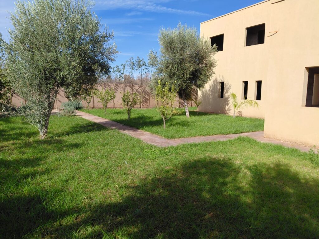 WhatsApp-Image-2026-03-12-at-22.37.31-3