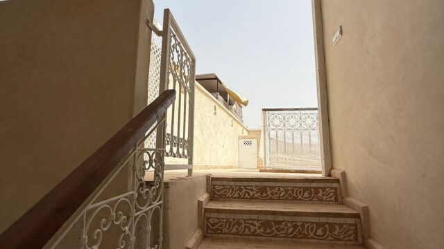 WhatsApp-Image-2026-03-13-at-03.23.01-1